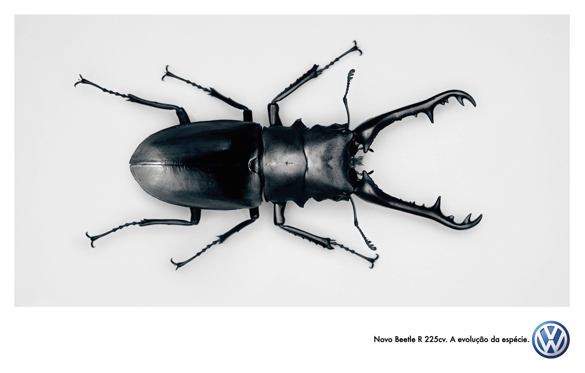 volkswagon, Beetle, Bug Wallpaper