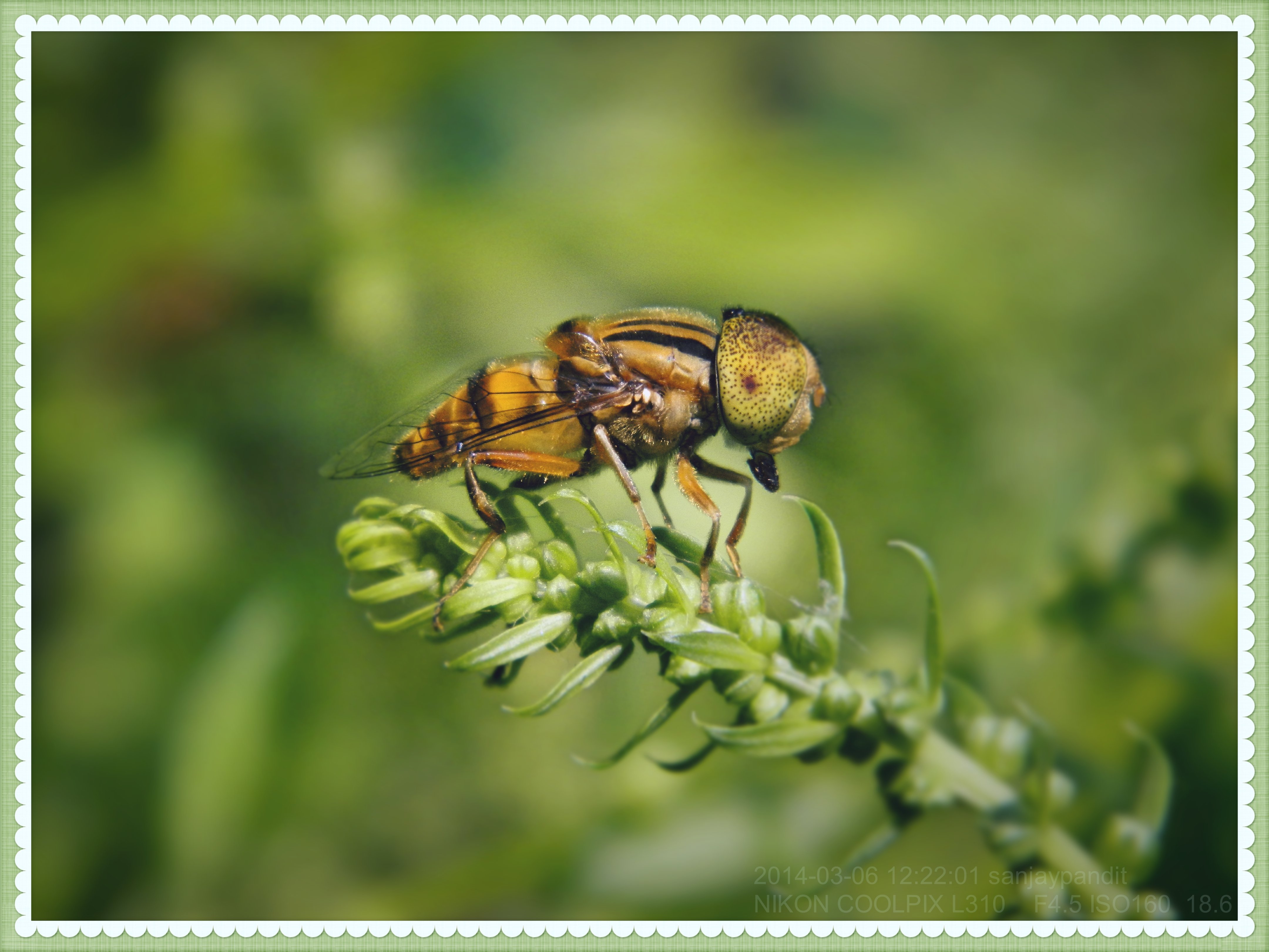 804812 Wallpapers HD / Desktop and Mobile Backgrounds