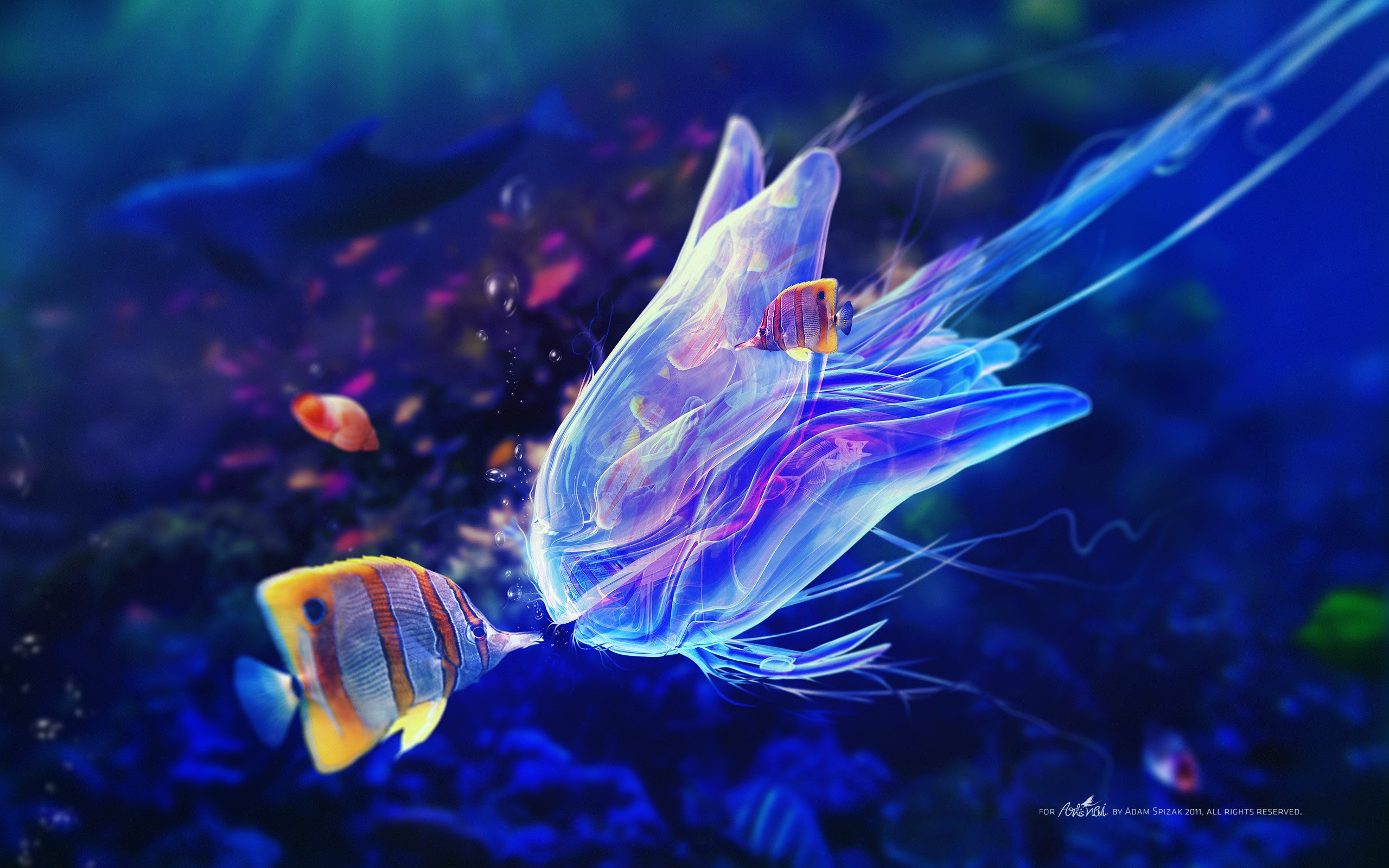 blue, Fish, Jellyfish, Artwork, Underwater, Adam, Spizak Wallpaper