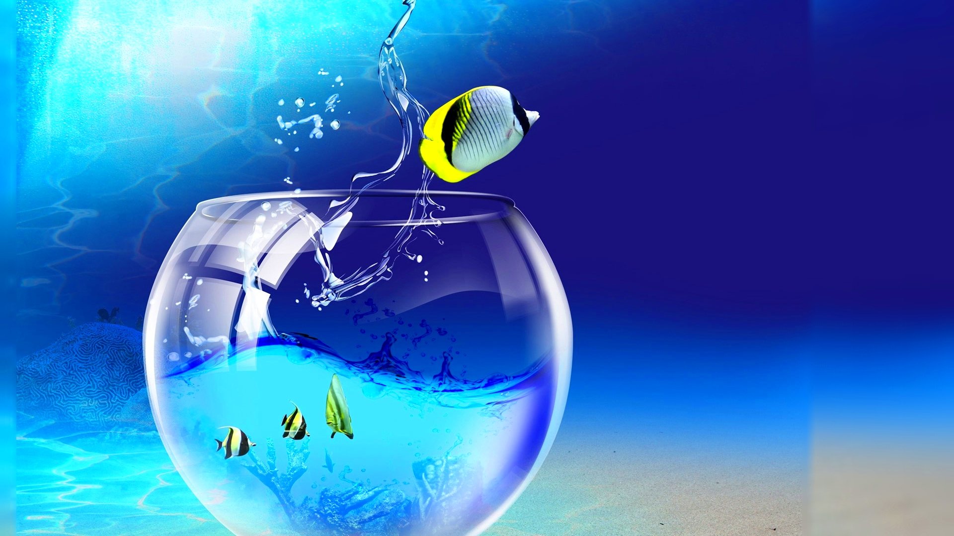 fish, Fishes, Underwater, Ocean, Sea, Sealife, Nature Wallpaper