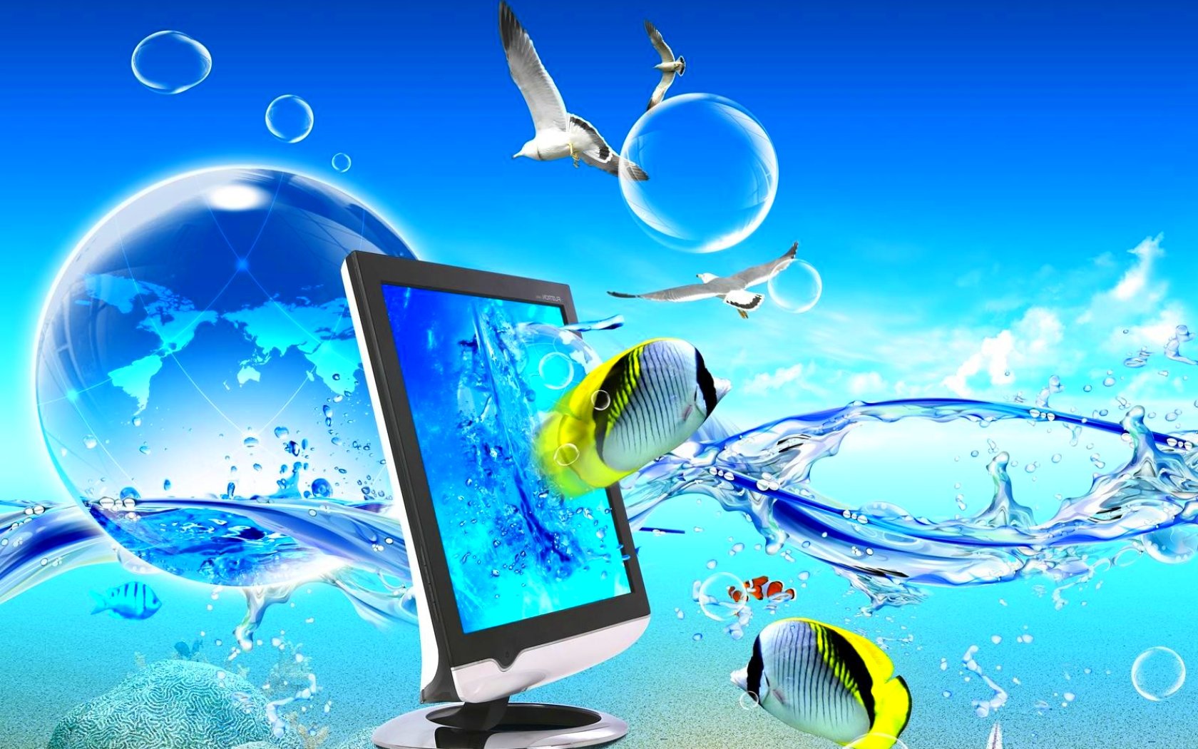 fish, Fishes, Underwater, Ocean, Sea, Sealife, Nature Wallpaper