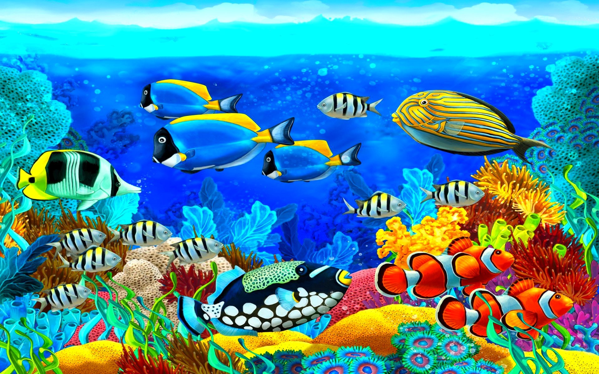 fish, Fishes, Underwater, Ocean, Sea, Sealife, Nature Wallpapers HD ...