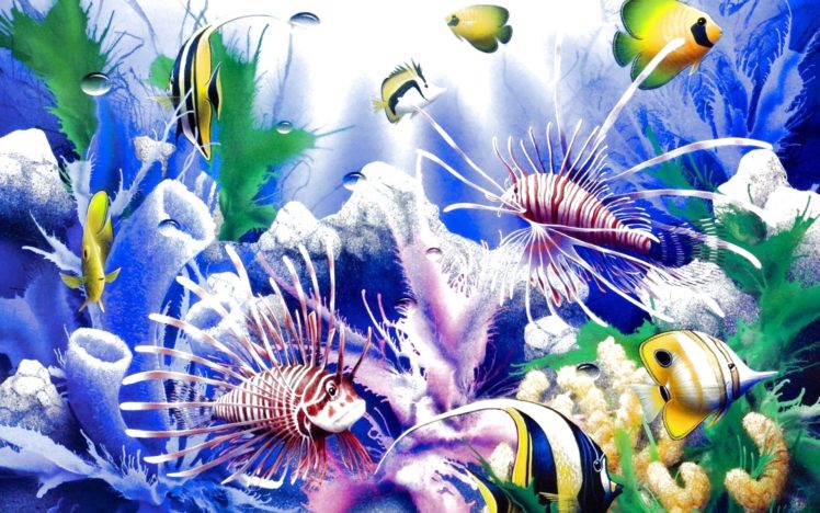 fish, Fishes, Underwater, Ocean, Sea, Sealife, Nature HD Wallpaper Desktop Background