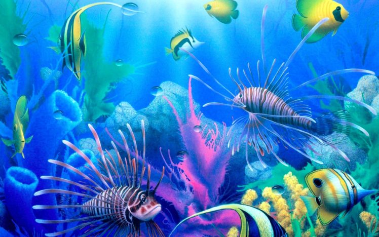 fish, Fishes, Underwater, Ocean, Sea, Sealife, Nature Wallpapers HD ...