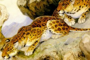 predators, Painting, Leopards, Georges frederic, Rotig, Art