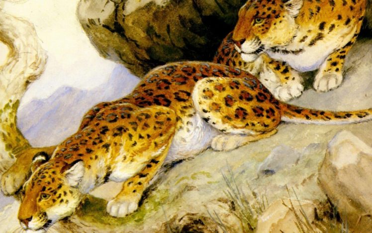 predators, Painting, Leopards, Georges frederic, Rotig, Art HD Wallpaper Desktop Background