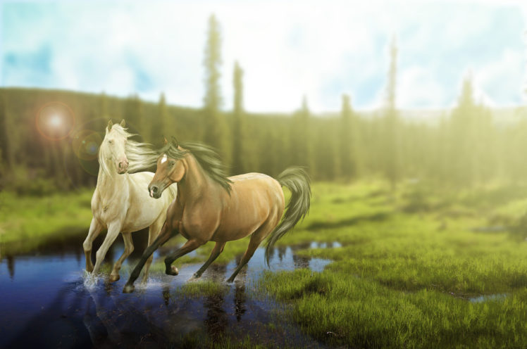 horses, Grass, Animals, Painting HD Wallpaper Desktop Background