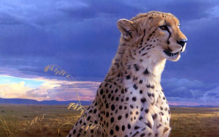 painting, Animal, Beauty, Cheetah, Art, Daniel, Smith HD Wallpaper Desktop Background