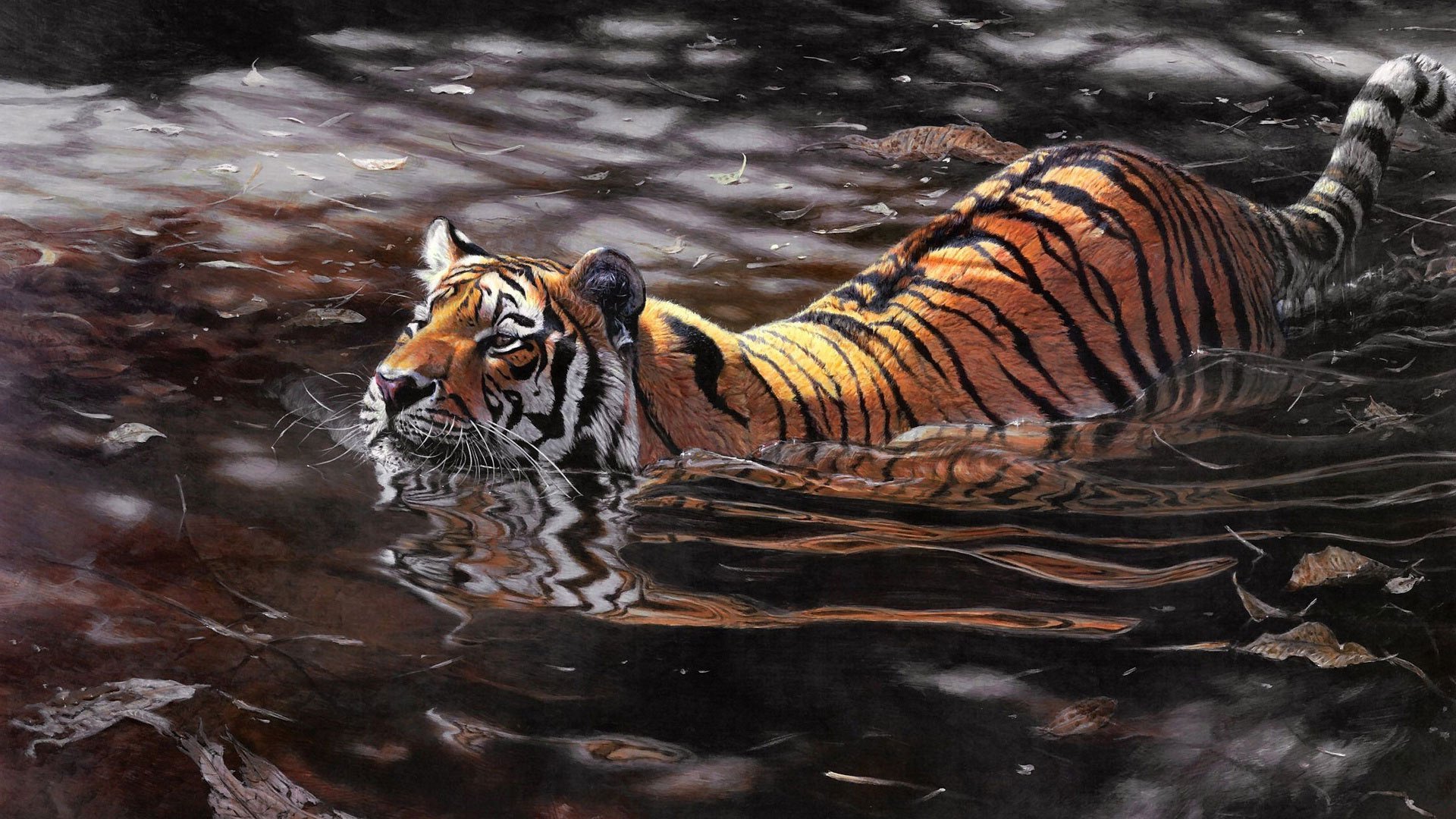 , Swimming, Tiger, Animal, Art Wallpaper