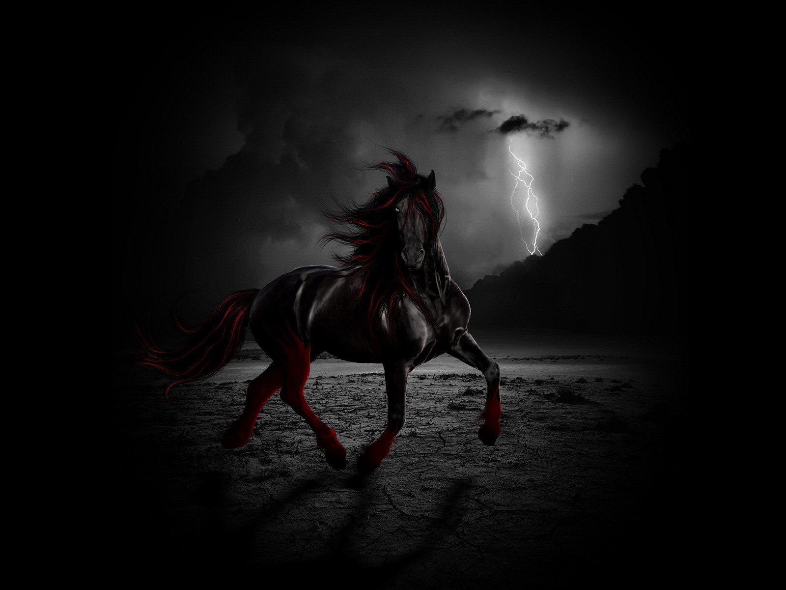 red, And, Black, Horse Wallpaper