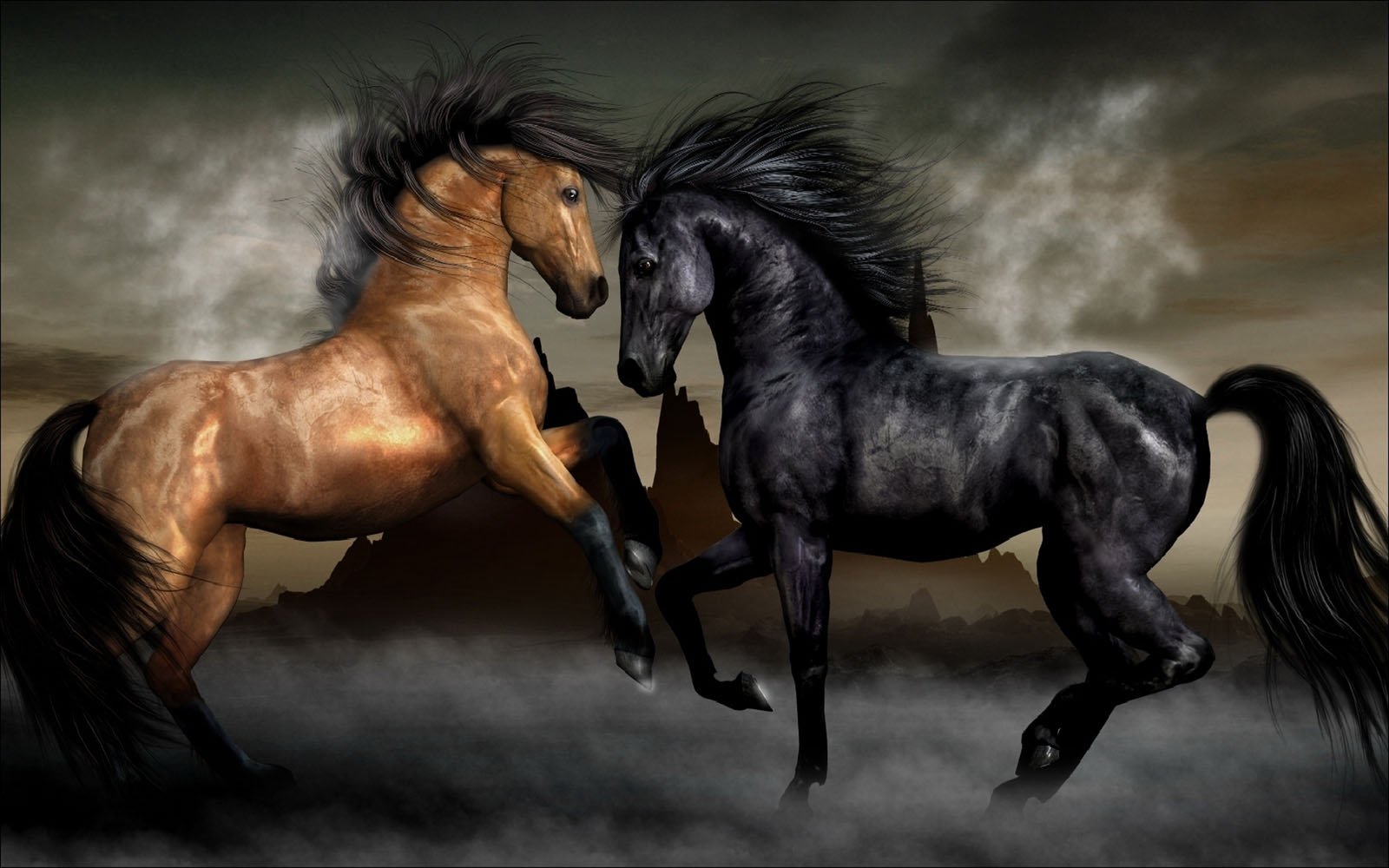 black, And, Brown, Horse Wallpaper