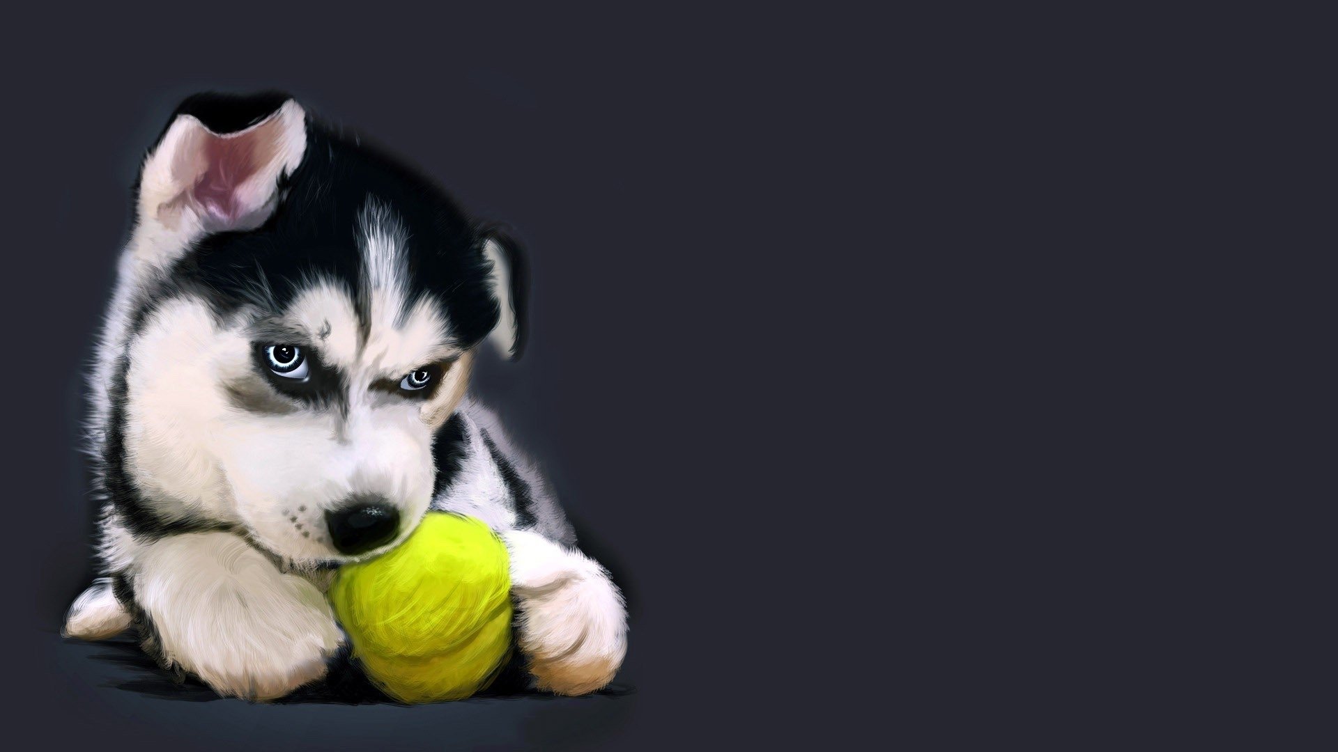 wall, Animals,  110 Wallpaper