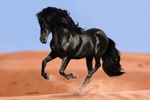 horses, Black, Animals, Horse, Painting, Paintings