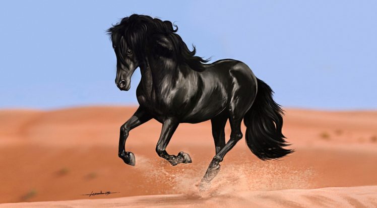 horses, Black, Animals, Horse, Painting, Paintings HD Wallpaper Desktop Background