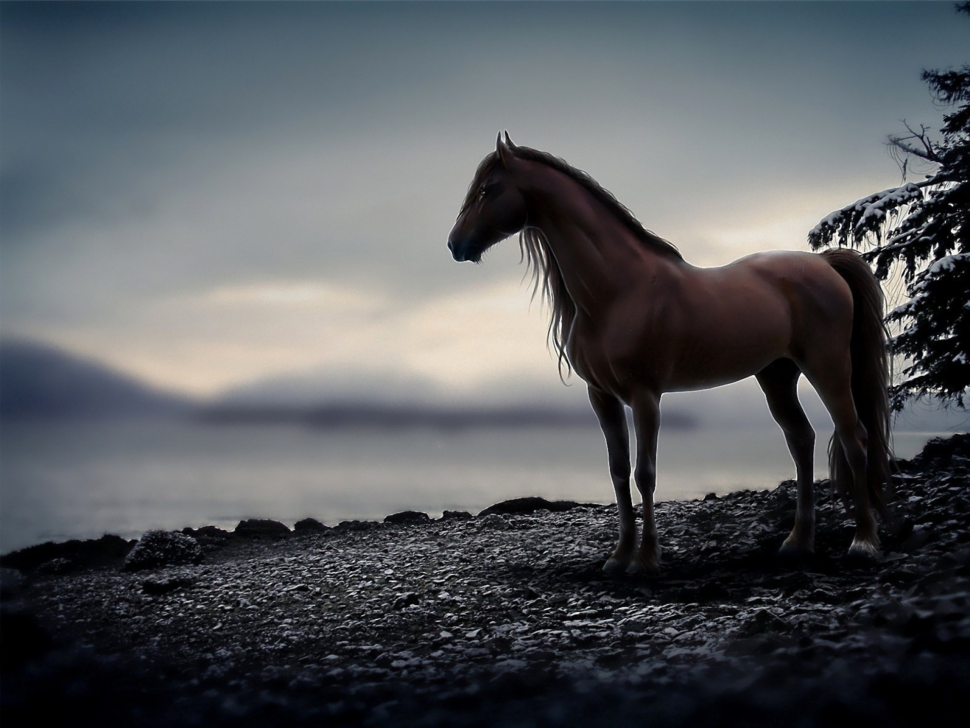 clouds, Snow, Animals, Horses, Horse Wallpaper