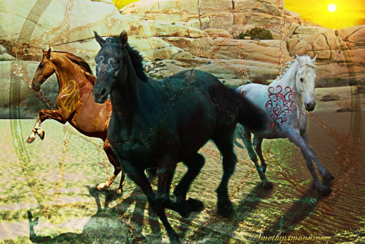 horses, Horse, Fantasy HD Wallpaper Desktop Background