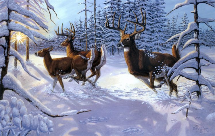 gene, Stewart, Winter, Sow, Forst, Deer HD Wallpaper Desktop Background