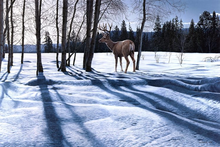 landscape, Deer, Winter, Snow HD Wallpaper Desktop Background