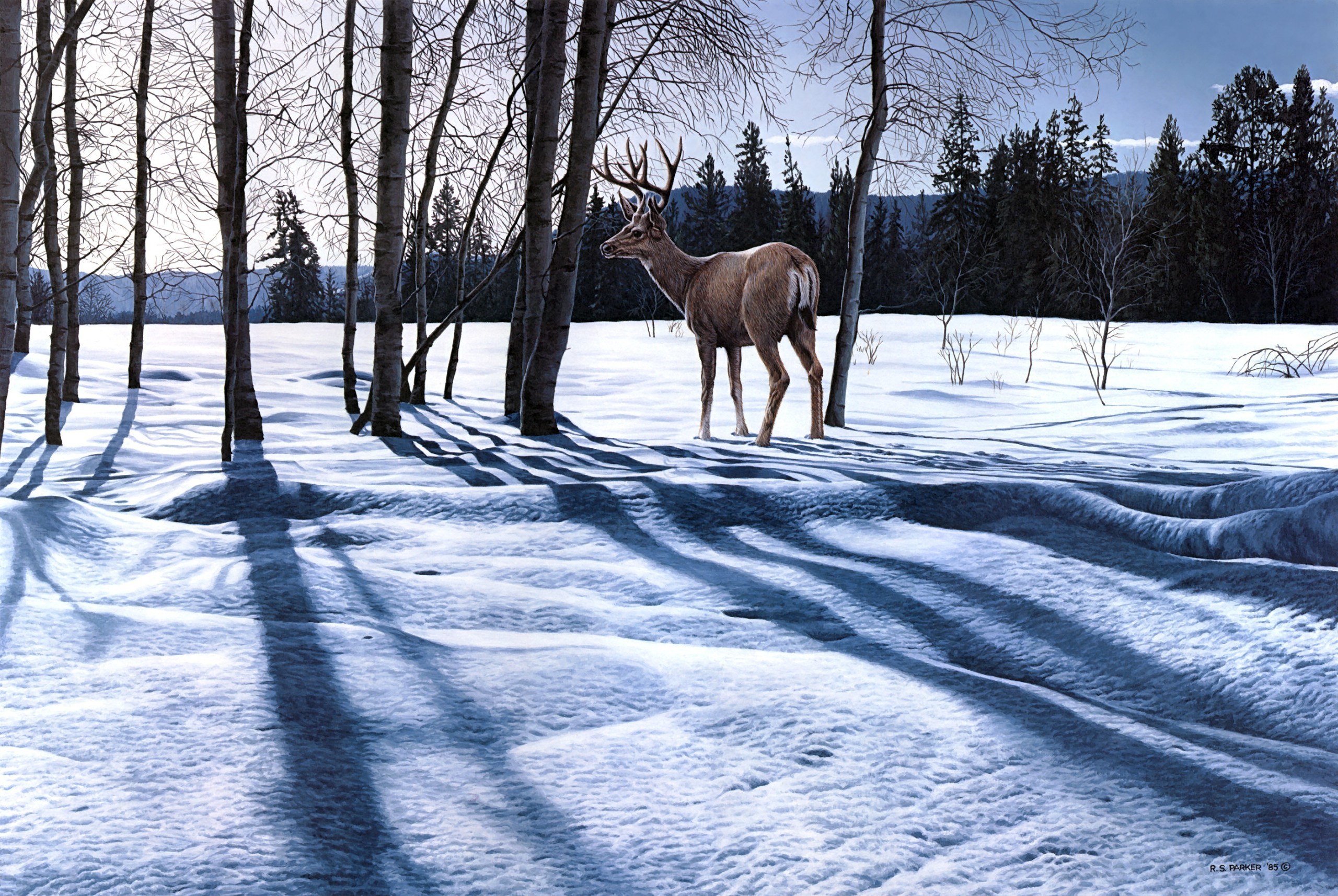 landscape, Deer, Winter, Snow Wallpaper