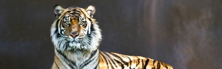 13801 HD Wallpaper Desktop Background