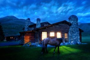 house, Light, Horse, Night