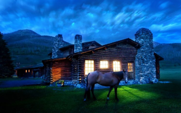 house, Light, Horse, Night HD Wallpaper Desktop Background