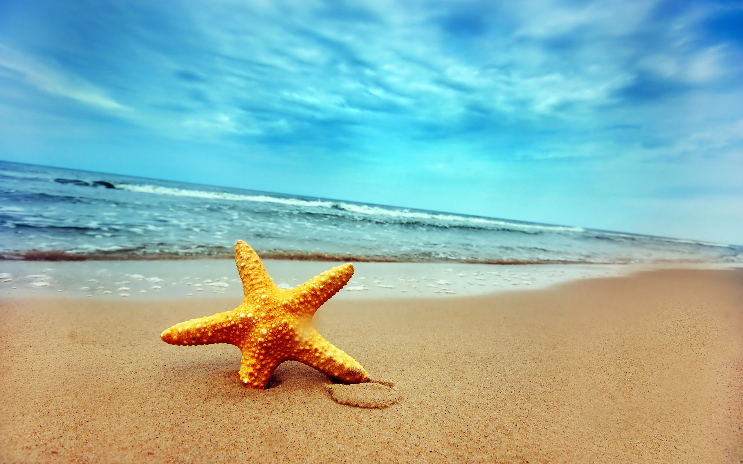 starfish, On, A, Beach Wallpaper