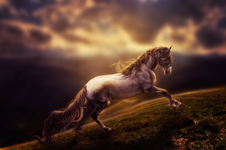 horse, Art, Painting, Fantasy HD Wallpaper Desktop Background
