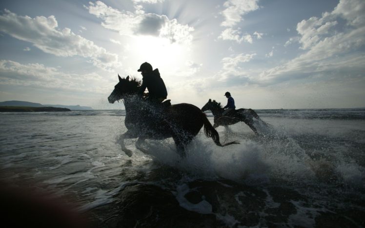 water, Horses HD Wallpaper Desktop Background