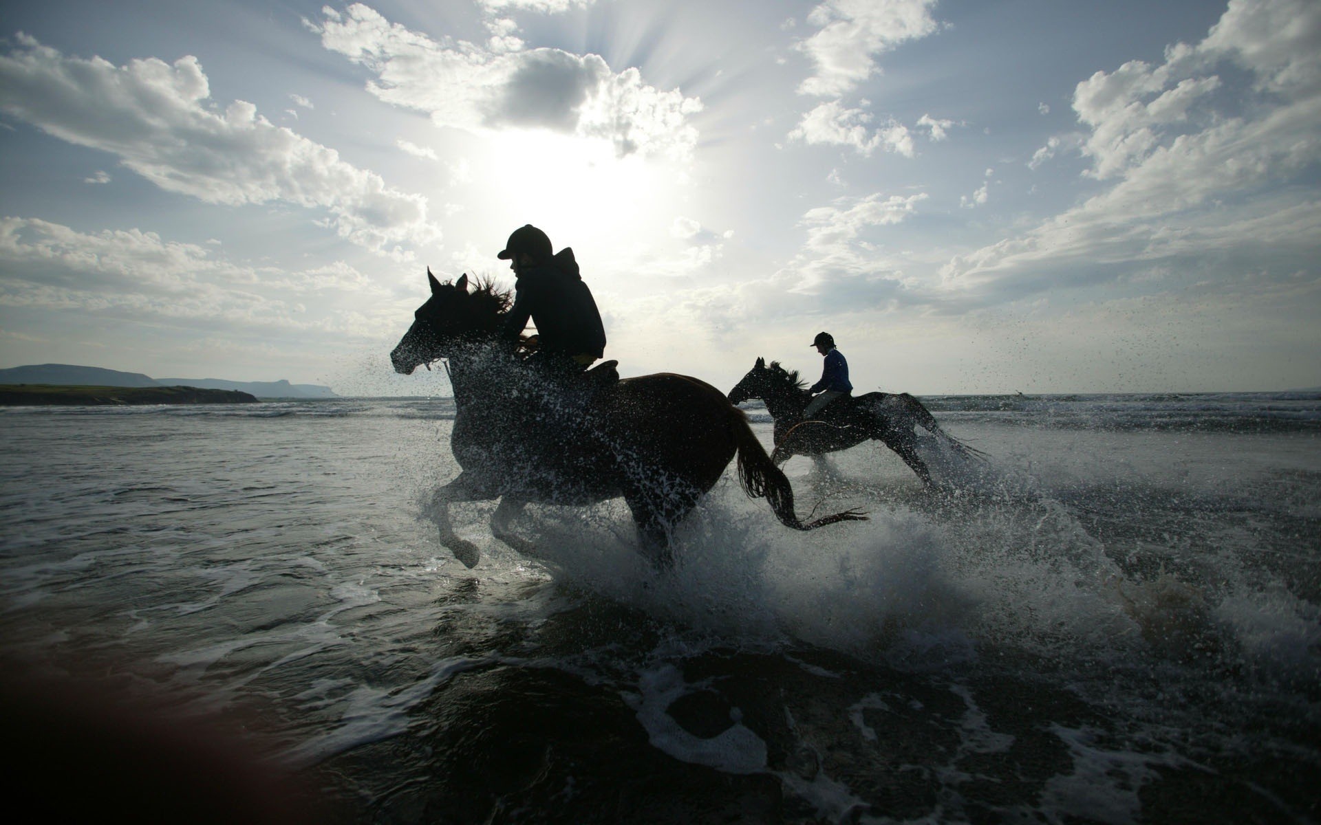 water, Horses Wallpaper