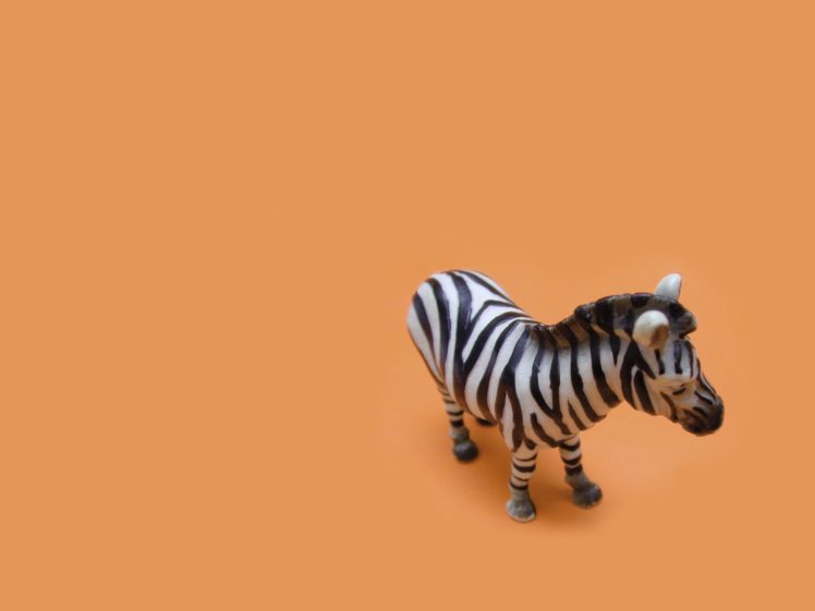 animals, Zebras HD Wallpaper Desktop Background