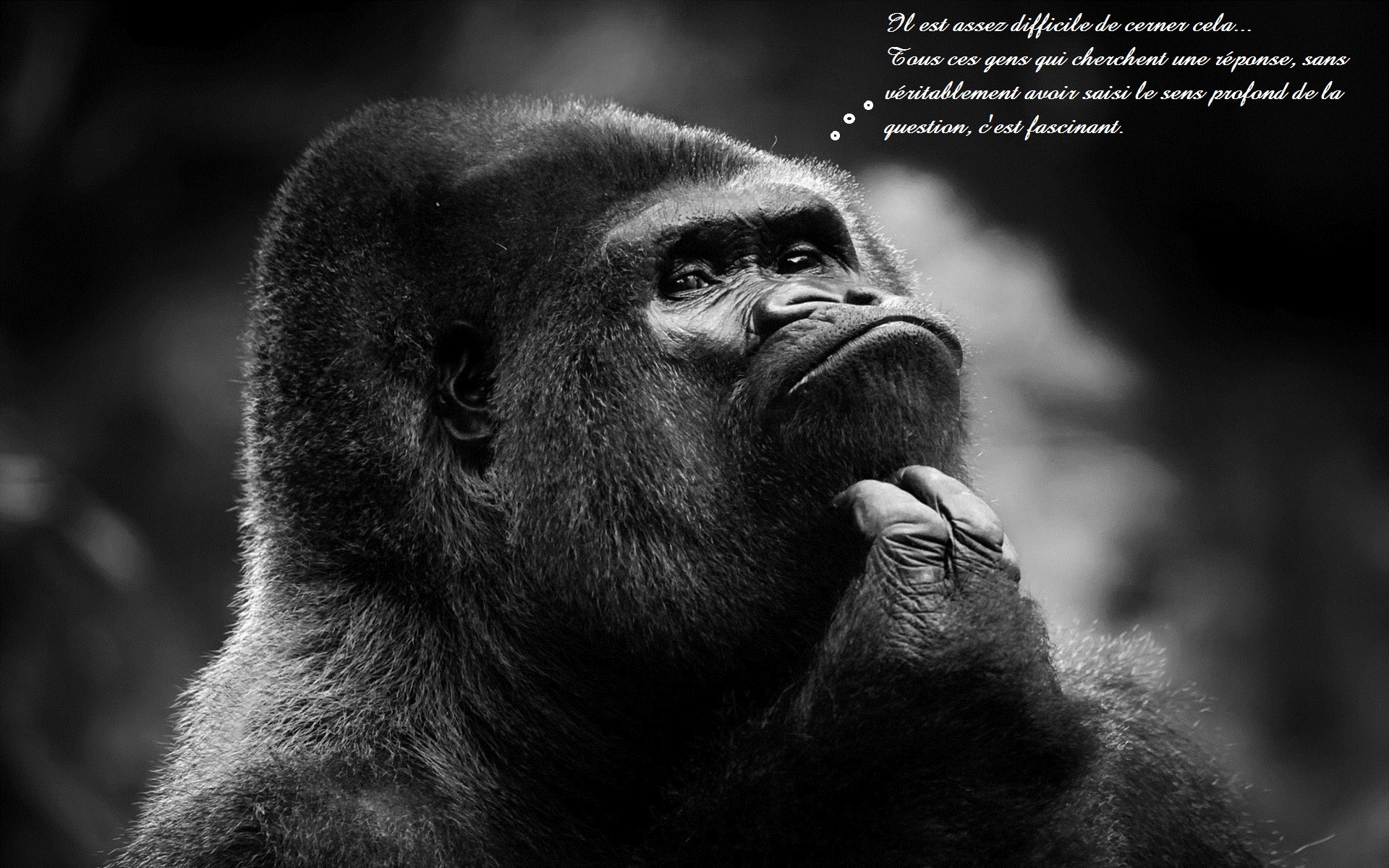 primitive, , Wallpaper