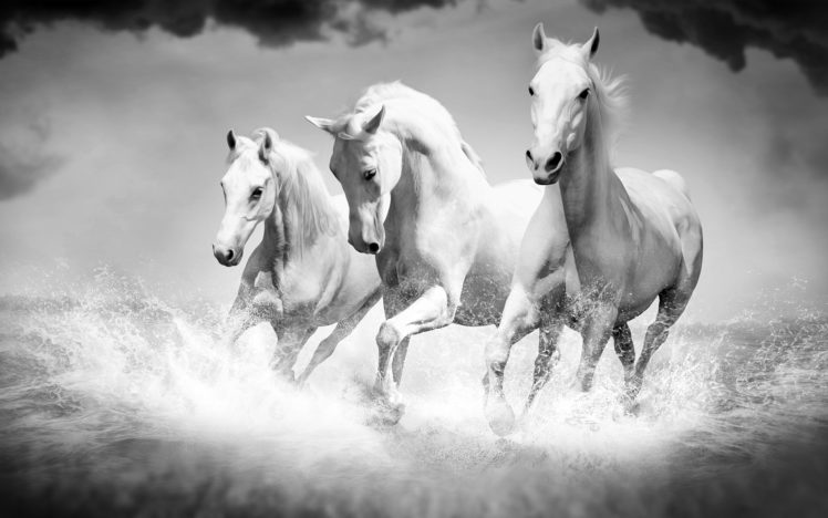 horse, Mood, Fantasy HD Wallpaper Desktop Background