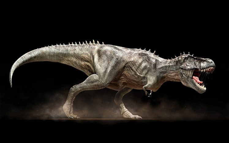 dinosaurs, Tyrannosaurus, Rex HD Wallpaper Desktop Background