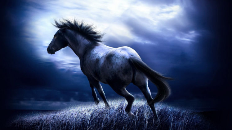 horse, Black, Art, Painting, Fantasy HD Wallpaper Desktop Background