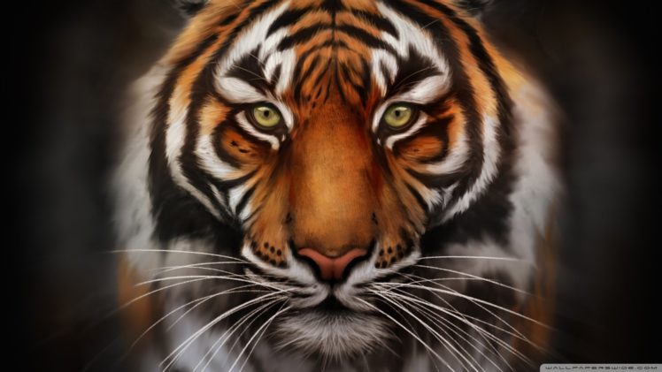 40 Gambar Wallpaper for Pc Tiger terbaru 2020
