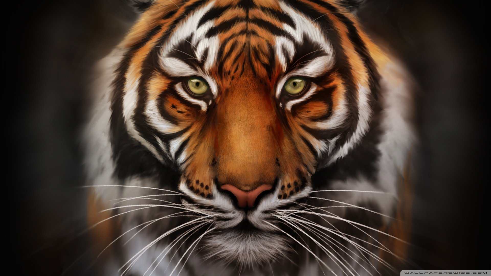 save, The, Tiger wallpaper 1920x1080 Wallpaper