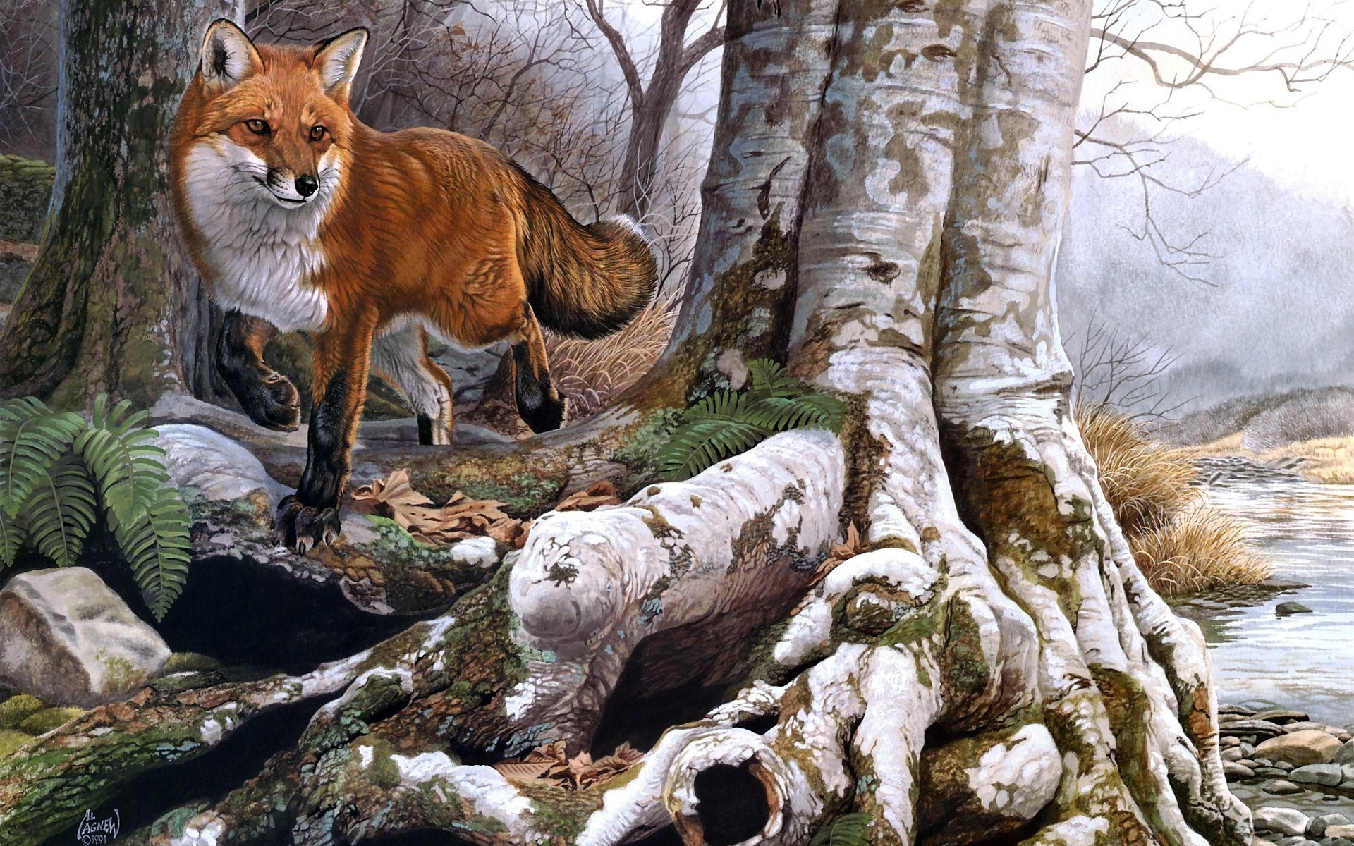 animals, Fox, Foxes, Nature, Landscapes, Trees, Forests, Rivers, Paintings, Artistic, Art Wallpaper