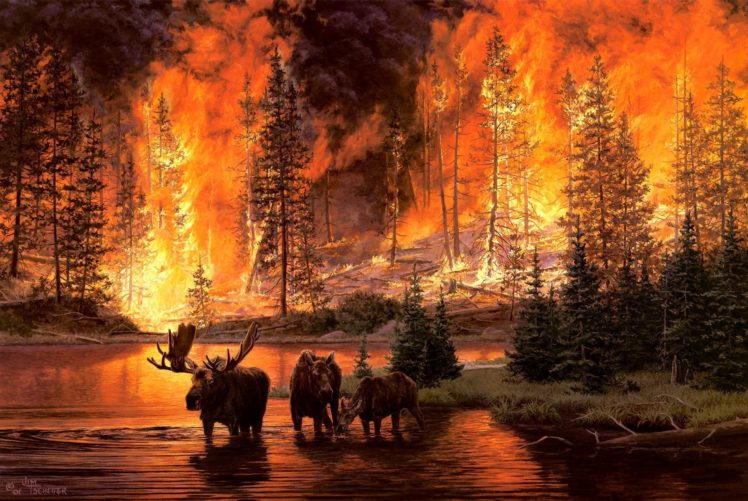 jim tschetter, Jim, Tschetter, Animals, Moose, Nature, Paintings, Artistic, Art, Landscapes, Fire, Flames, Trees, Forests, Situation HD Wallpaper Desktop Background