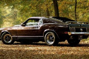 vehicles, Cars, Ford, Mustang, Boss, Spoiler, Wings, Wheels, Shine, Muscle, Old, Retro, Classic, Landscapes, Leaves, Trees, Forest, Autumn, Fall, Seasons, Roads, Street