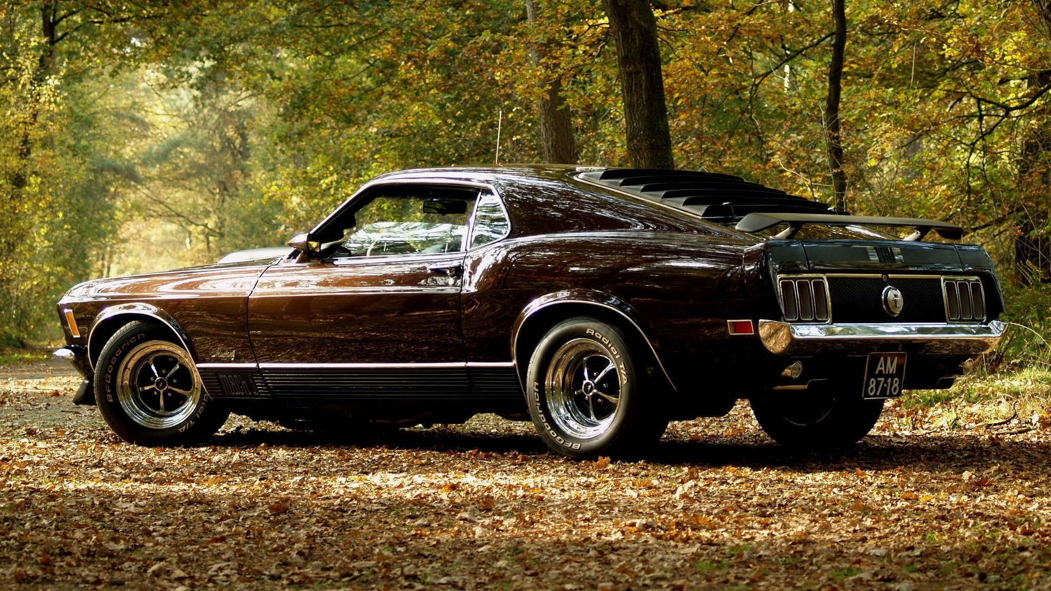 vehicles, Cars, Ford, Mustang, Boss, Spoiler, Wings, Wheels, Shine, Muscle, Old, Retro, Classic, Landscapes, Leaves, Trees, Forest, Autumn, Fall, Seasons, Roads, Street Wallpaper