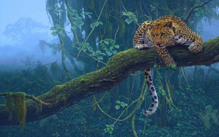 nature, Trees, Jungle, Animals, Leopards HD Wallpaper Desktop Background