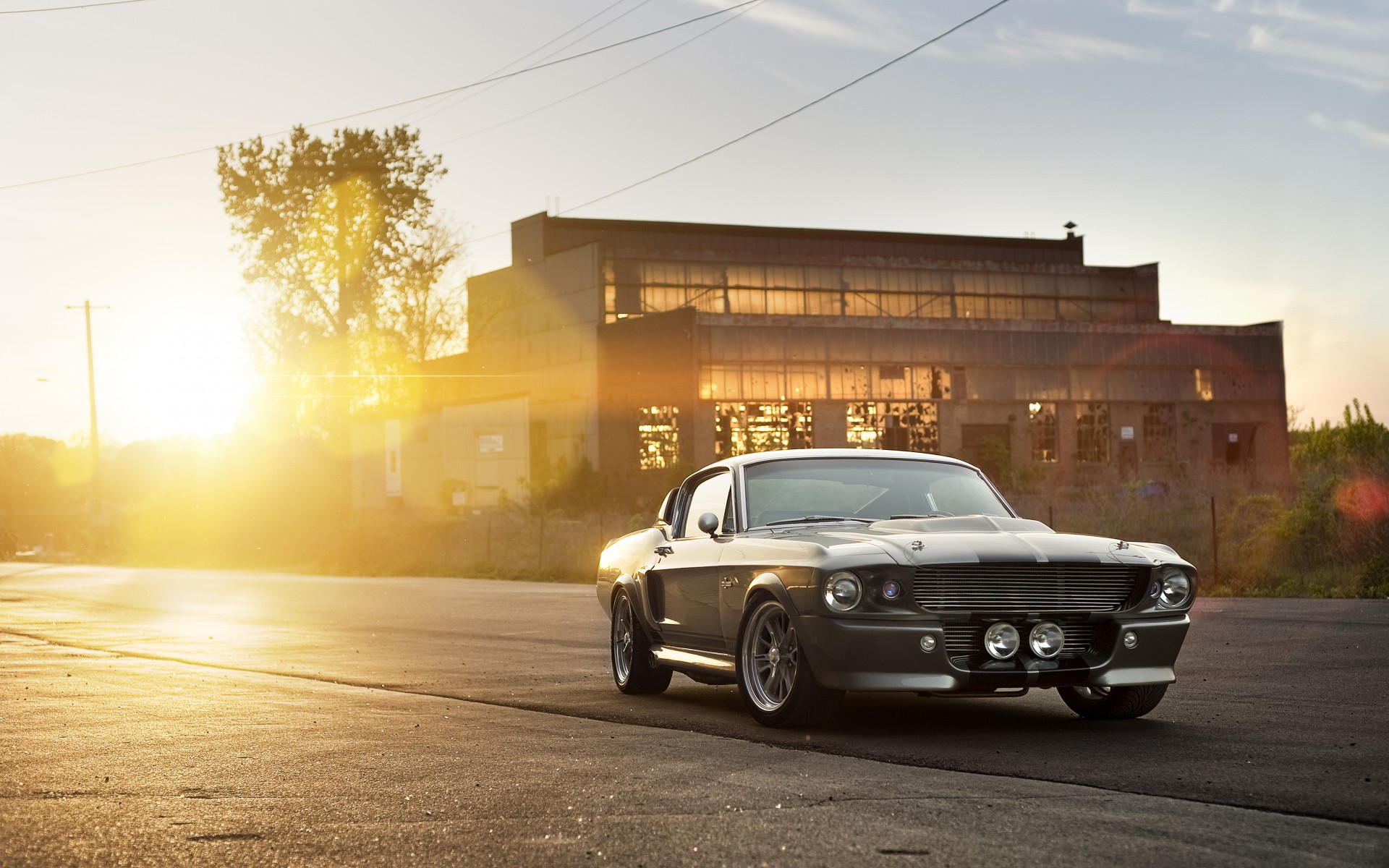 ford, Shelby, Gt, 500, Eleanor, Mustang, Retro, Classic, Sunset, Sunrise, Architecture, Buildings, Wheels Wallpaper