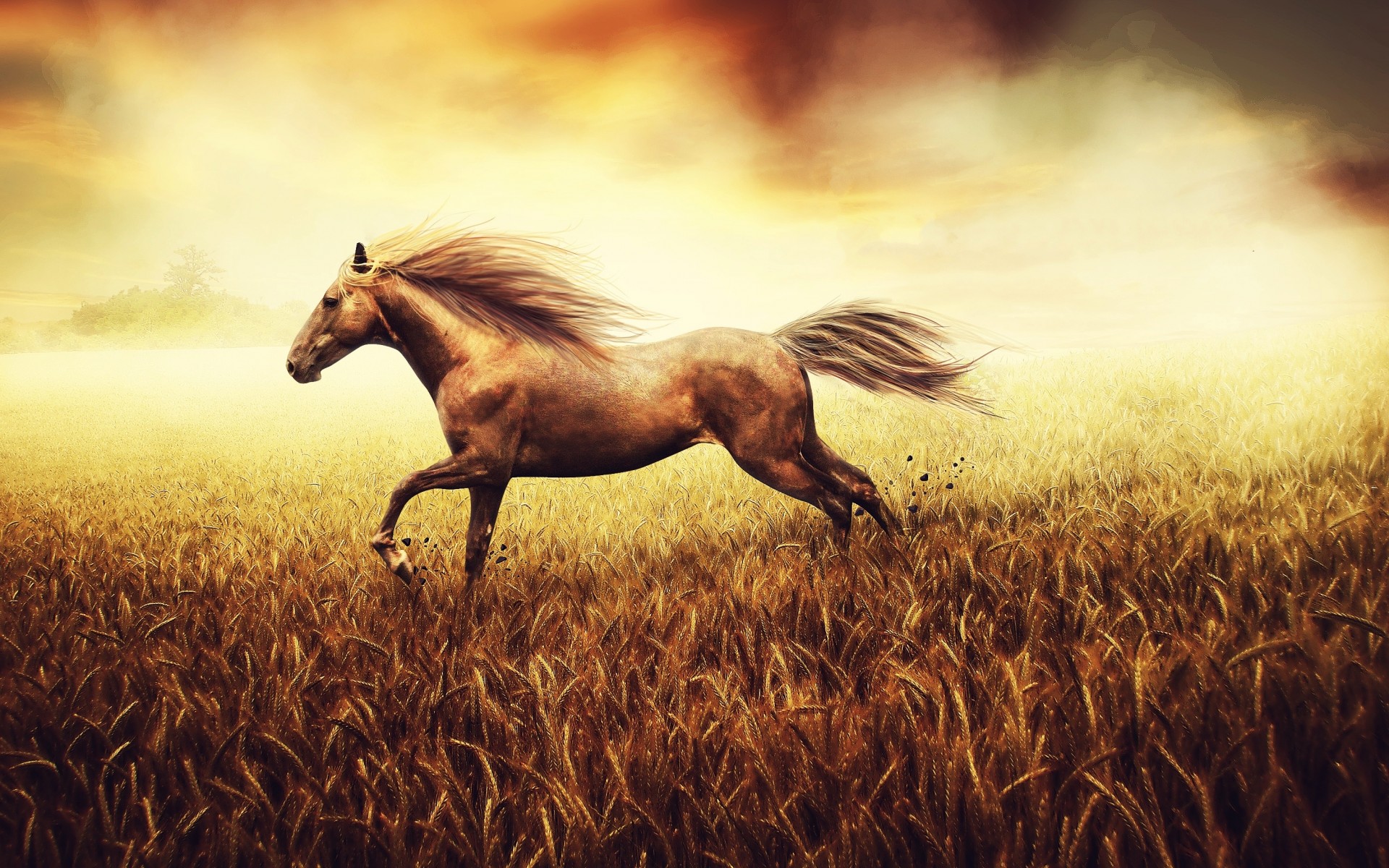 animals, Horses, Landscapes, Grass Wallpaper