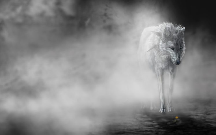 animals, Wolf, Wolves, Predator, Fantasy, Mood, Emotion, Art, Fog, Mist HD Wallpaper Desktop Background