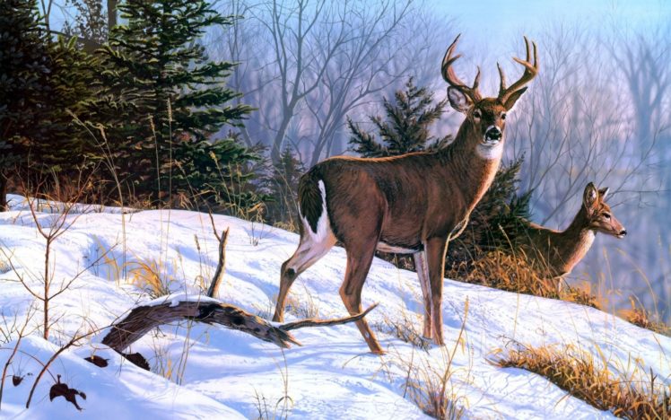 deer, Art, Nature, Paintings, Winter HD Wallpaper Desktop Background