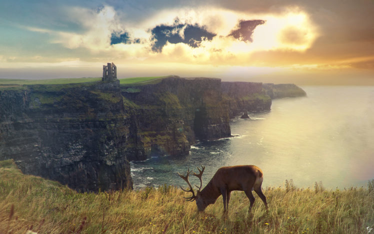 landscapes, Deer, Castle, Cg, Digital, Art, Ocean, Sky HD Wallpaper Desktop Background