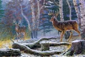 nature, Deer, Art