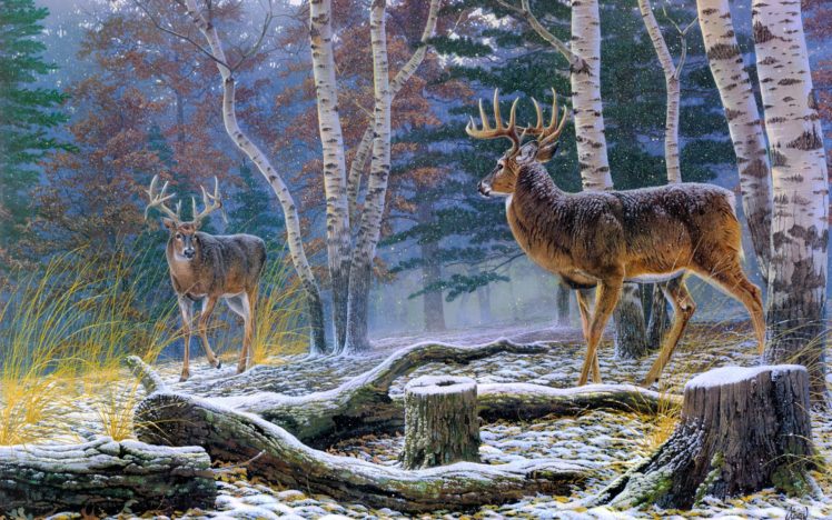 nature, Deer, Art HD Wallpaper Desktop Background