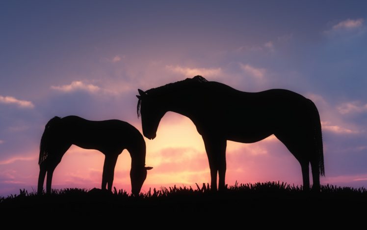 art, Horses, Foal, Sky, Sunset HD Wallpaper Desktop Background